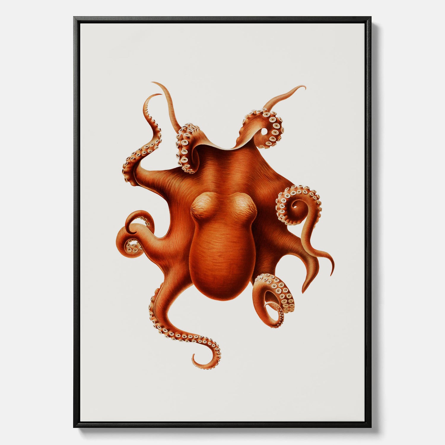 Kökstavla med en Bläckfisk canvas – Färgglad affisch med en djurillustration, köksposter, tavla till kök, poster till kök