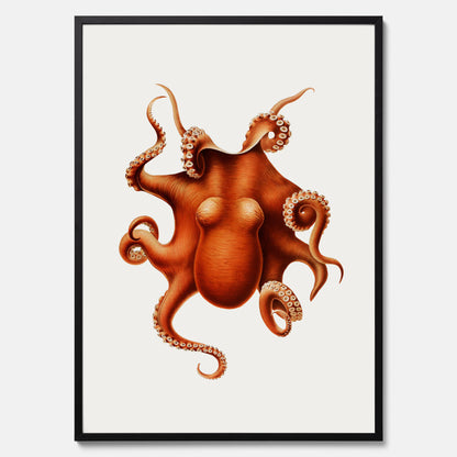 Kökstavla med en Bläckfisk Poster – Färgglad affisch med en djurillustration, köksposter, tavla till kök, poster till kök