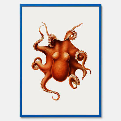 Kökstavla med en Bläckfisk Poster – Färgglad affisch med en djurillustration, köksposter, tavla till kök, poster till kök
