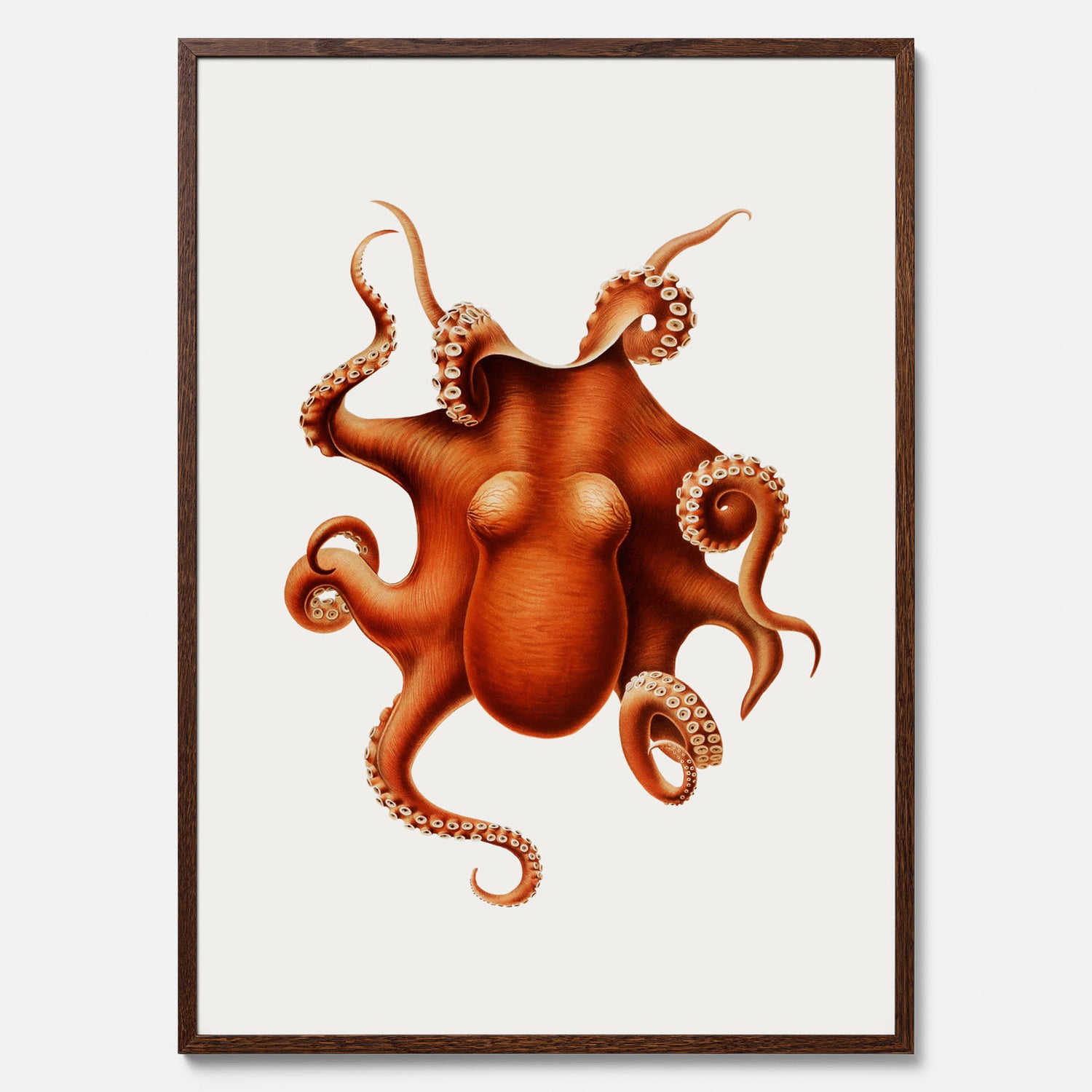 Kökstavla med en Bläckfisk Poster – Färgglad affisch med en djurillustration, köksposter, tavla till kök, poster till kök