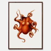 Kökstavla med en Bläckfisk Poster – Färgglad affisch med en djurillustration, köksposter, tavla till kök, poster till kök