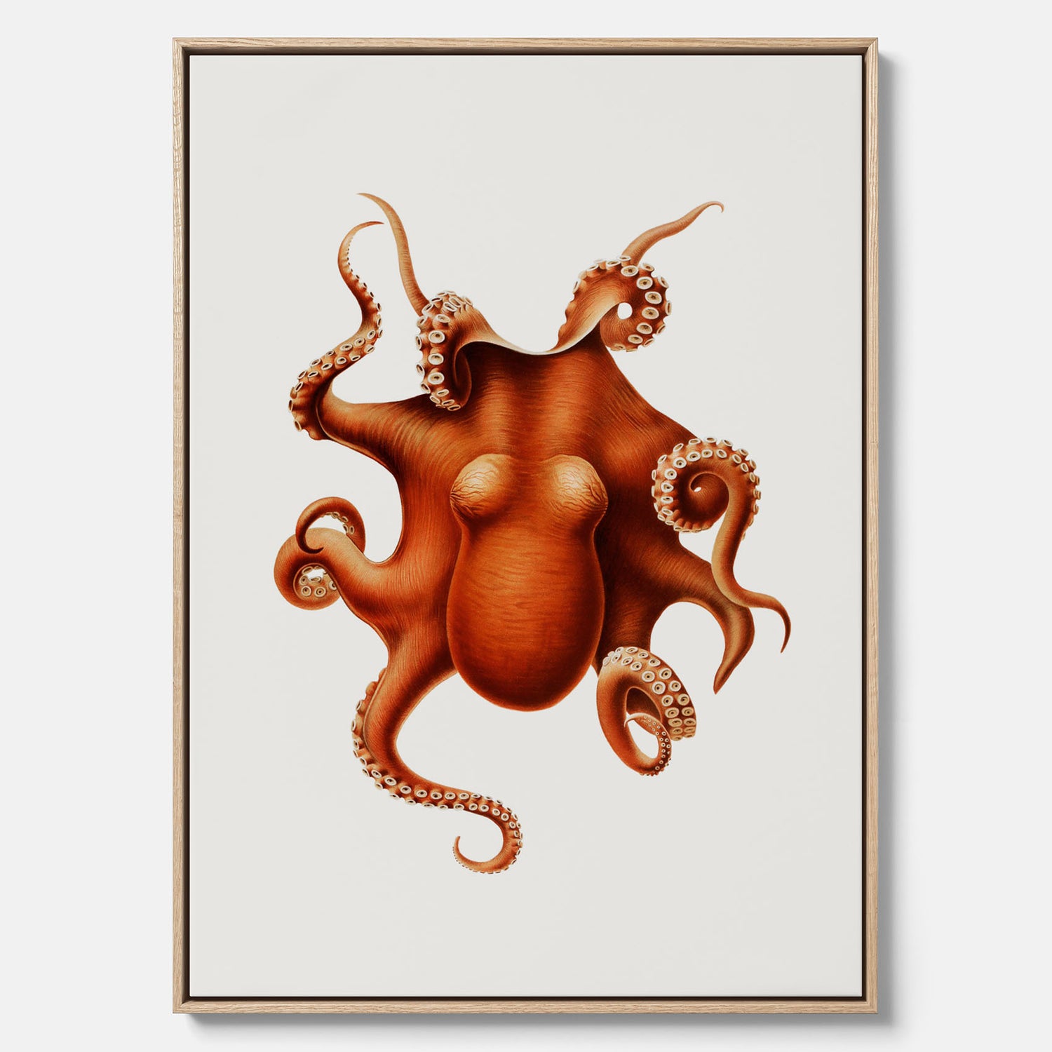 Kökstavla med en Bläckfisk canvas – Färgglad affisch med en djurillustration, köksposter, tavla till kök, poster till kök