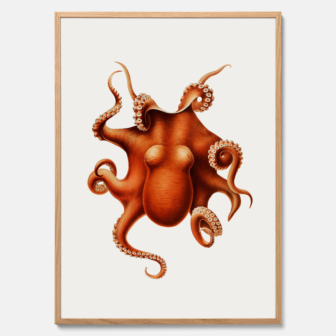 Kökstavla med en Bläckfisk Poster – Färgglad affisch med en djurillustration, köksposter, tavla till kök, poster till kök