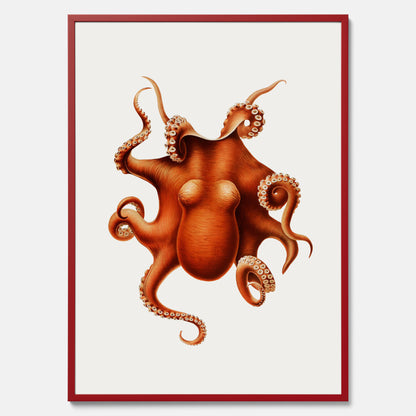 Kökstavla med en Bläckfisk Poster – Färgglad affisch med en djurillustration, köksposter, tavla till kök, poster till kök