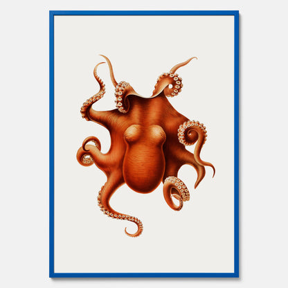 Kökstavla med en Bläckfisk Poster – Färgglad affisch med en djurillustration, köksposter, tavla till kök, poster till kök