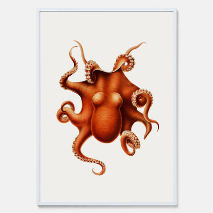 Kökstavla med en Bläckfisk Poster – Färgglad affisch med en djurillustration, köksposter, tavla till kök, poster till kök