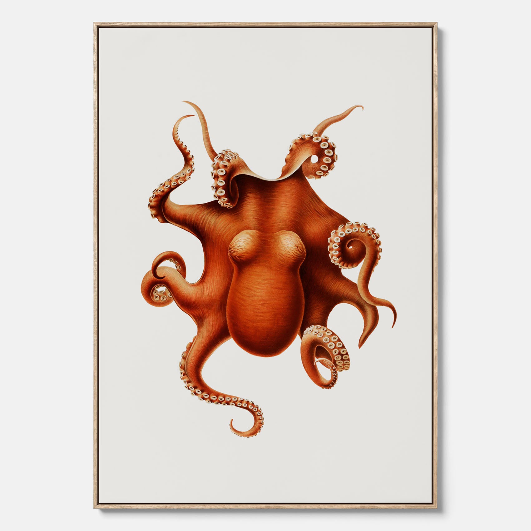 Kökstavla med en Bläckfisk canvas – Färgglad affisch med en djurillustration, köksposter, tavla till kök, poster till kök