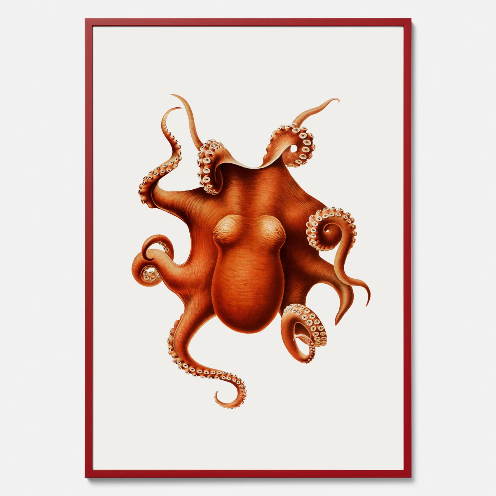 Kökstavla med en Bläckfisk Poster – Färgglad affisch med en djurillustration, köksposter, tavla till kök, poster till kök