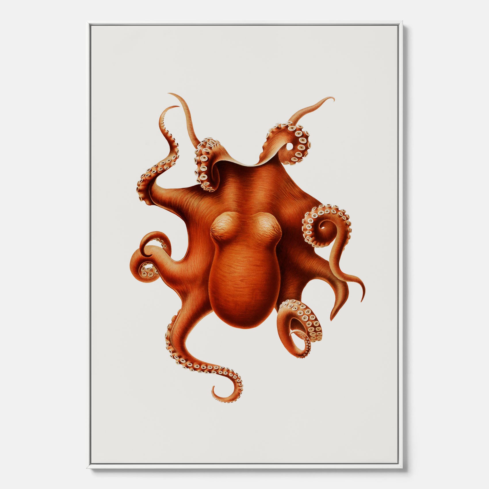 Kökstavla med en Bläckfisk canvas – Färgglad affisch med en djurillustration, köksposter, tavla till kök, poster till kök