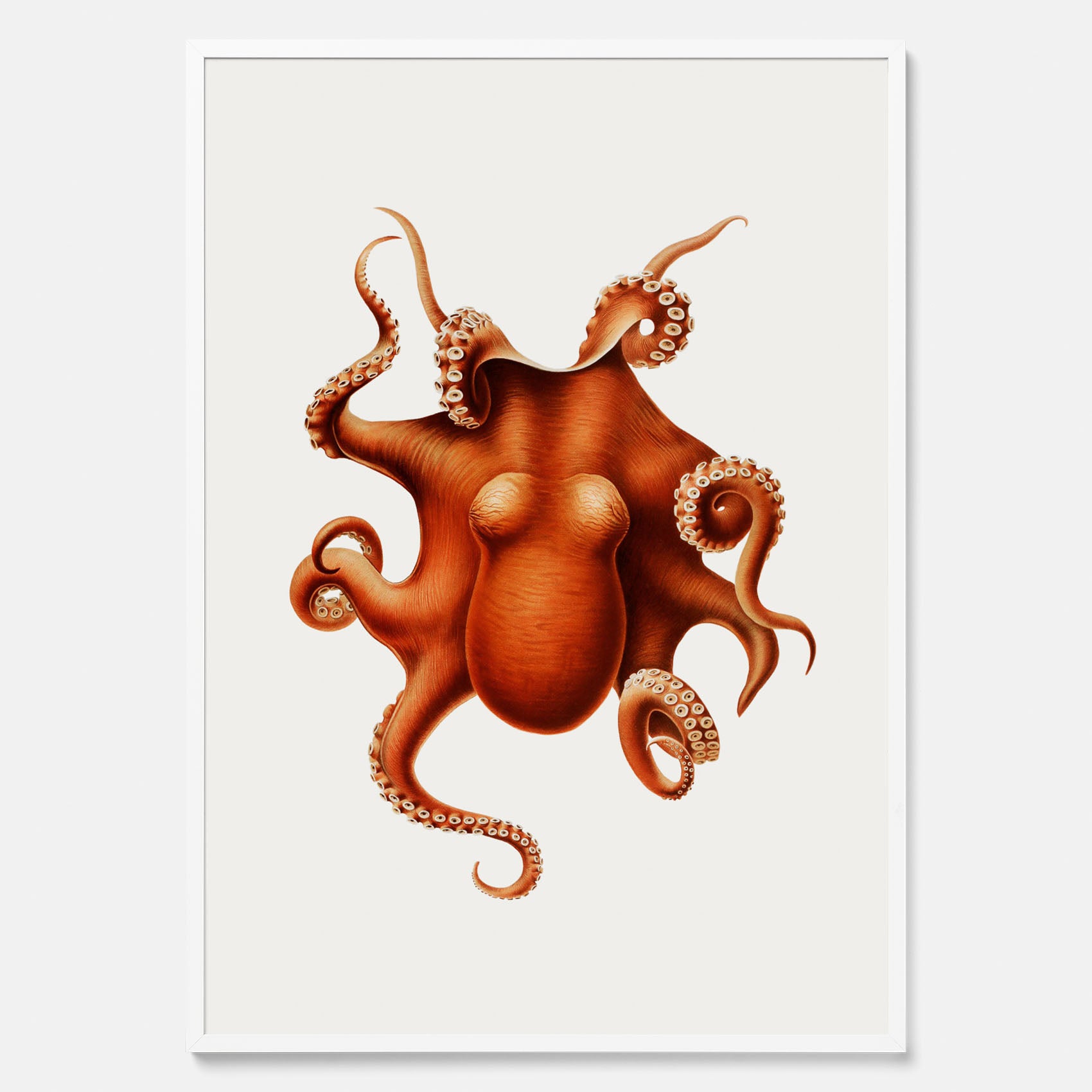 Kökstavla med en Bläckfisk Poster – Färgglad affisch med en djurillustration, köksposter, tavla till kök, poster till kök