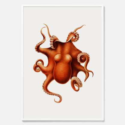 Kökstavla med en Bläckfisk Poster – Färgglad affisch med en djurillustration, köksposter, tavla till kök, poster till kök