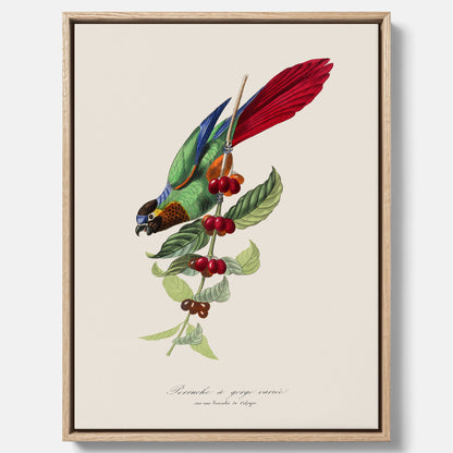 Kökstavla canvas med en Parakit &amp; Kaffeplanta  – Vintageposter med fågel och kaffe, tavla till kök, köksposter, poster till kök