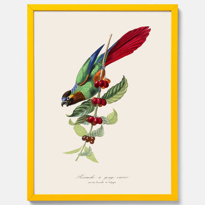 Kökstavla med en Parakit &amp; Kaffeplanta poster  – Vintageposter med fågel och kaffe, tavla till kök, köksposter, poster till kök