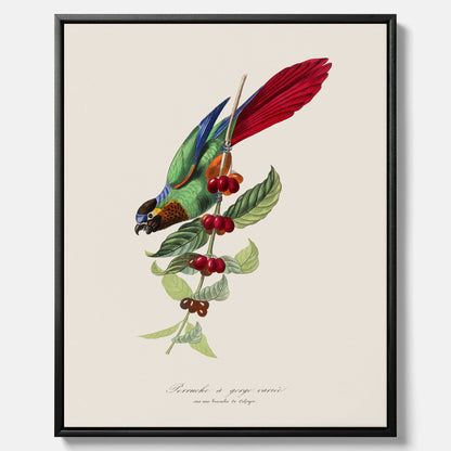 Kökstavla canvas med en Parakit &amp; Kaffeplanta  – Vintageposter med fågel och kaffe, tavla till kök, köksposter, poster till kök