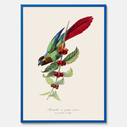 Kökstavla med en Parakit &amp; Kaffeplanta poster  – Vintageposter med fågel och kaffe, tavla till kök, köksposter, poster till kök