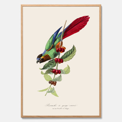 Kökstavla med en Parakit &amp; Kaffeplanta poster  – Vintageposter med fågel och kaffe, tavla till kök, köksposter, poster till kök