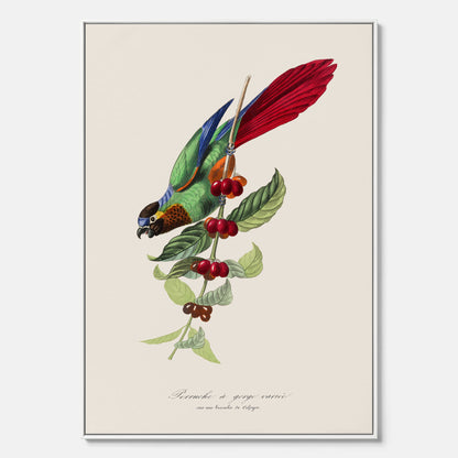 Kökstavla canvas med en Parakit &amp; Kaffeplanta  – Vintageposter med fågel och kaffe, tavla till kök, köksposter, poster till kök