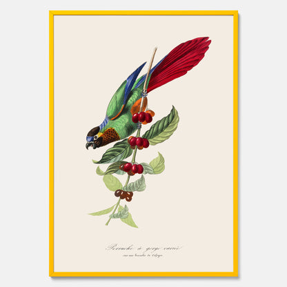 Kökstavla med en Parakit &amp; Kaffeplanta poster  – Vintageposter med fågel och kaffe, tavla till kök, köksposter, poster till kök
