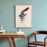 Kökstavla med en Parakit & Kaffeplanta poster  – Vintageposter med fågel och kaffe, tavla till kök, köksposter, poster till kök