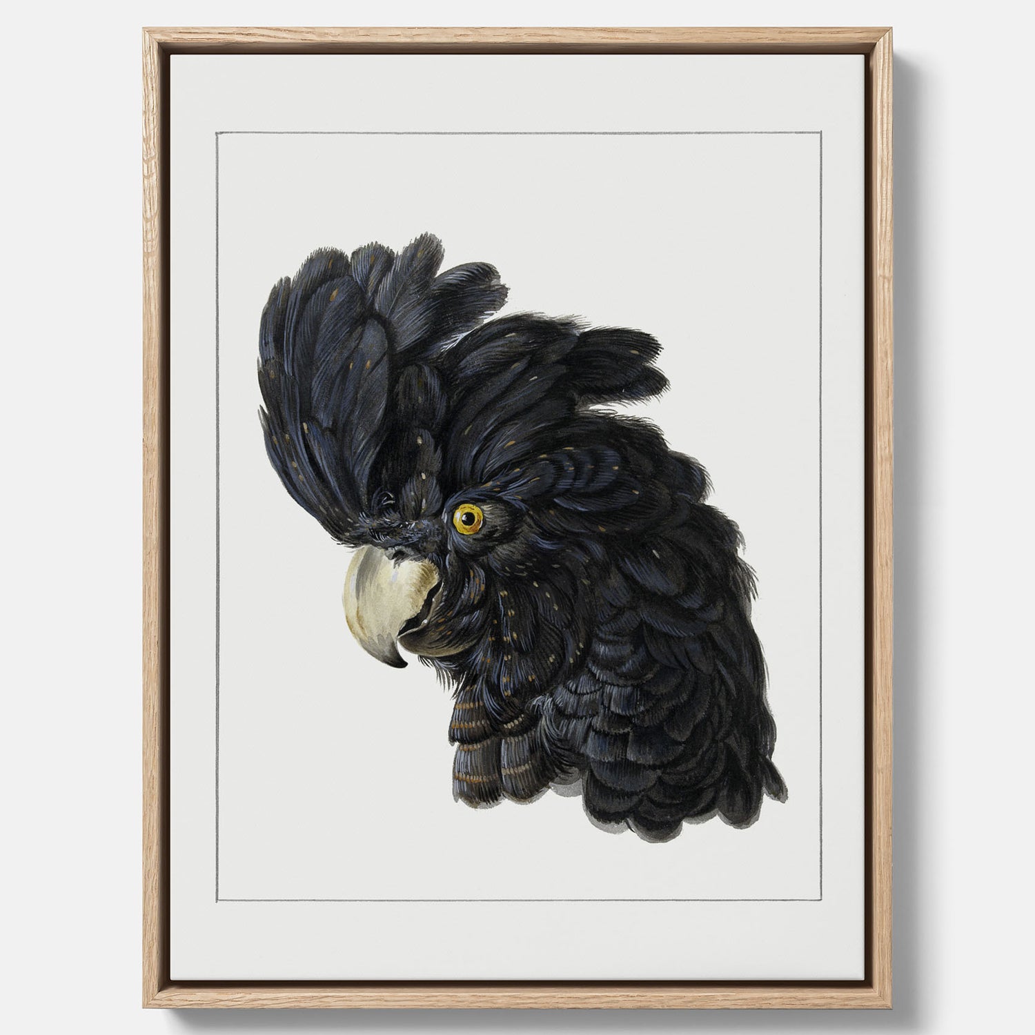 Fågelposter av Aert Schouman som föreställer huvudet av en papegoja canvas