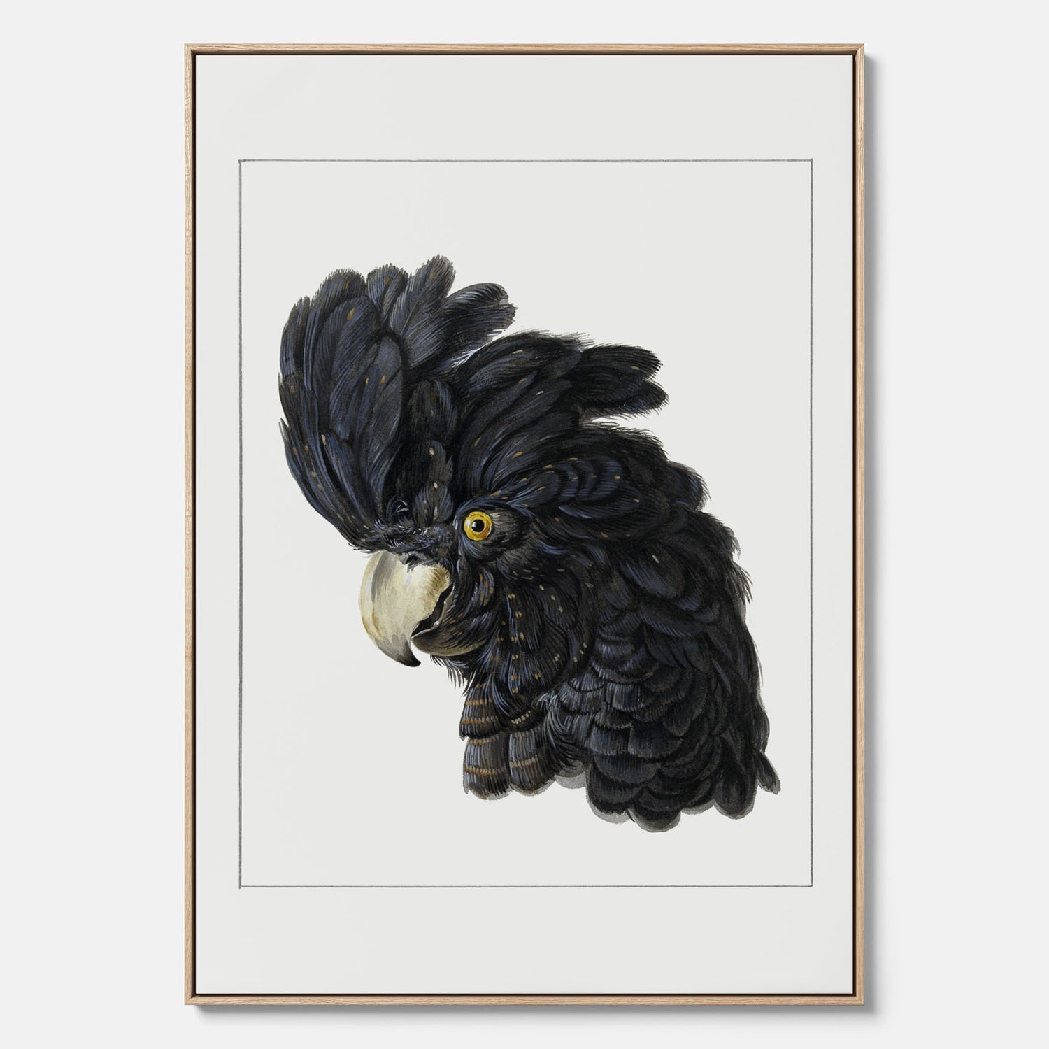 Fågelposter av Aert Schouman som föreställer huvudet av en papegoja canvas