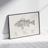 Abborre poster No.2 – Fiskposter – Plansch med fisk, kökstavla, köksposter, poster till kök