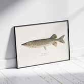 Kökstavla med en Gädda Poster - Fiskposter, skolposter med fisk, tavla till kök, poster till kök