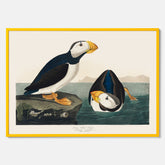 Lunnefågel "Puffin" poster No.2 – Vintageposter med fågel