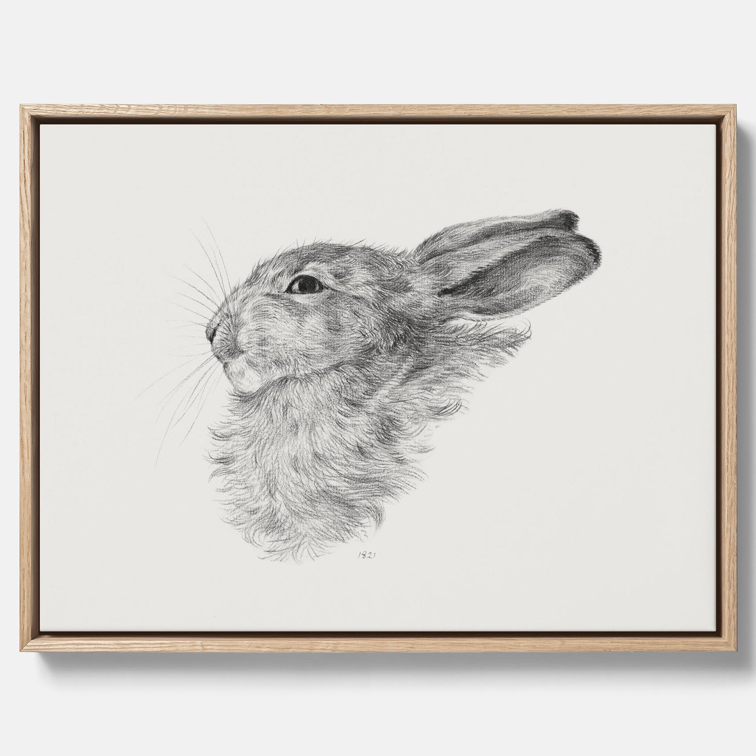 Vintageposter som föreställer en svartvit illustration av en kanin canvas
