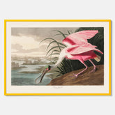 Tavla med en Rosenskedstork poster – Vintageposter med fågel