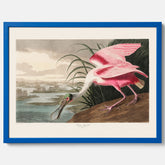 Tavla med en Rosenskedstork poster – Vintageposter med fågel