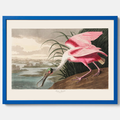 Tavla med en Rosenskedstork poster – Vintageposter med fågel