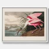 Canvastavla med en Rosenskedstork poster – Vintageposter med fågel