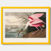 Tavla med en Rosenskedstork poster – Vintageposter med fågel