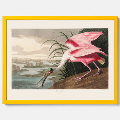 Tavla med en Rosenskedstork poster – Vintageposter med fågel