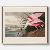 Canvastavla med en Rosenskedstork poster – Vintageposter med fågel