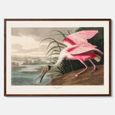 Tavla med en Rosenskedstork poster – Vintageposter med fågel