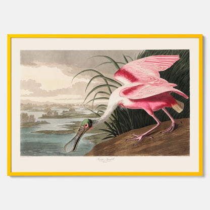 Tavla med en Rosenskedstork poster – Vintageposter med fågel