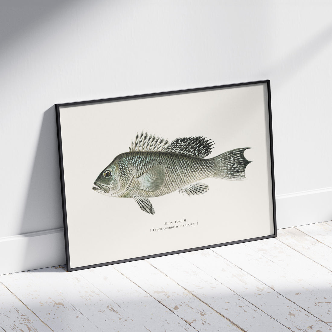 Kökstavla med Havsabborre poster – Plansch med fisk, fiskposter, tavla till kök, köksposter, poster till kök