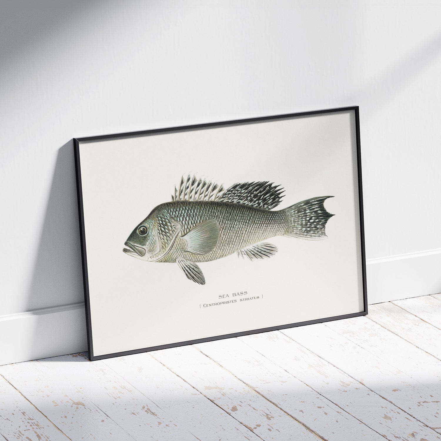 Kökstavla med Havsabborre poster – Plansch med fisk, fiskposter, tavla till kök, köksposter, poster till kök