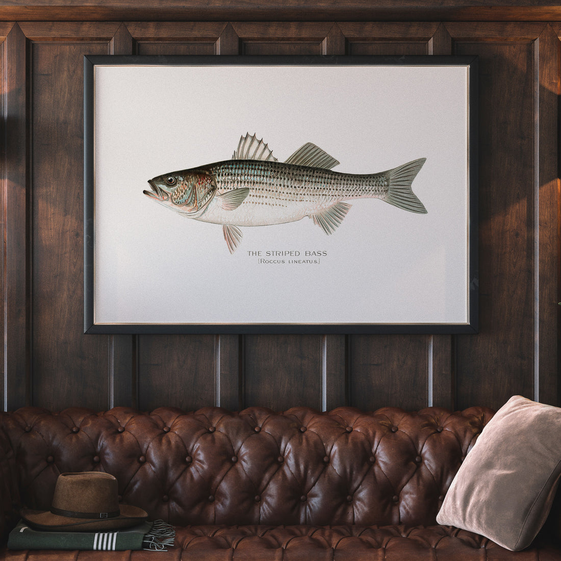 Kökstavla med Strimmig Havsabborre poster – Plansch med fisk, tavla till kök, köksposter, poster till kök, fiskposter
