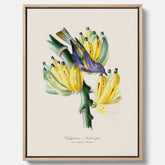 Kökstavla med en Tachyphonus & Banan canvas  – Vintageposter med fågel och banan, tavla till kök, köksposter, poster till kök