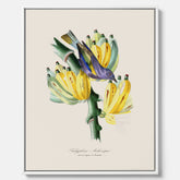 Kökstavla med en Tachyphonus & Banan canvas  – Vintageposter med fågel och banan, tavla till kök, köksposter, poster till kök
