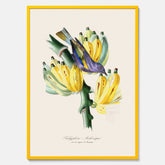 Kökstavla med en Tachyphonus & Banan poster  – Vintageposter med fågel och banan, tavla till kök, köksposter, poster till kök