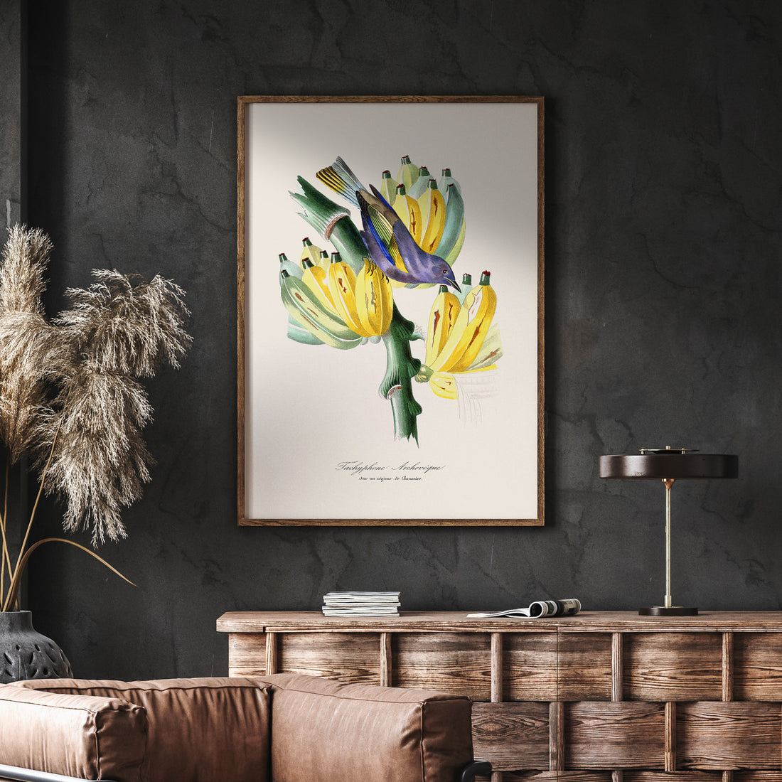 Kökstavla med en Tachyphonus & Banan poster  – Vintageposter med fågel och banan, tavla till kök, köksposter, poster till kök