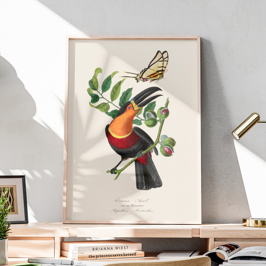 Tavla med en vintageposter med Gulbröstad Tukan och en Riddarfjäril (Protesilaus protesilaus).