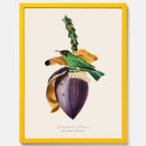 Kökstavla med Trädkrypare & Bananblomma poster – Vintageplansch med fågel och blomma, tavla till kök, köksposter, poster till kök