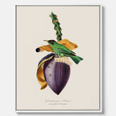 Canvastavla till kök med Trädkrypare & Bananblomma – Vintageplansch med fågel och blomma, tavla till kök, köksposter, poster till kök