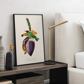 Kökstavla med Trädkrypare & Bananblomma poster – Vintageplansch med fågel och blomma, tavla till kök, köksposter, poster till kök
