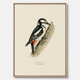 Vintageposter på canvas föreställande en hackspett, ritad av bröderna von Wright.